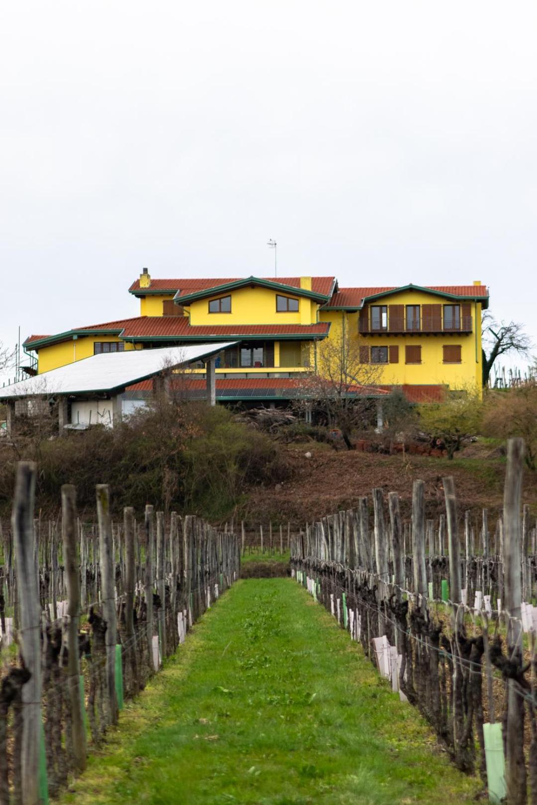 Agriturismo Nema Mossa Exterior photo